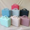 IMG_4637 Portable Mini Travel Makeup Case (Hard Shell Ribbed Design)