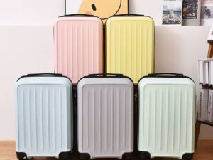 IMG_4656 20″ Hard-Shell Travel Suitcase / Luggage Box