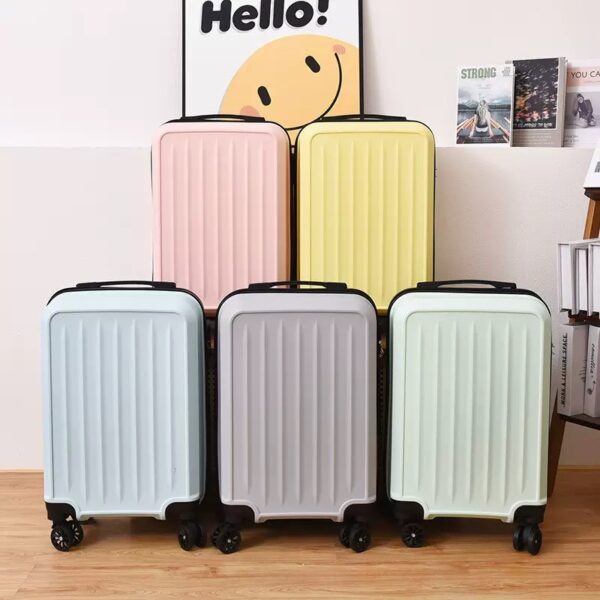 IMG_4656 20″ Hard-Shell Travel Suitcase / Luggage Box