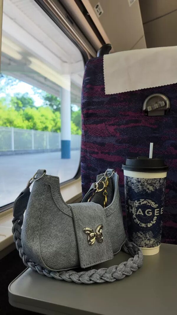 IMG_4905 French Style Niche Shoulder & Underarm Bag (2024 Edition)