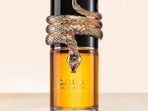 Dubai Arab's High Quality Luxury EDP Long-Lasting Middle East Best Seller for Men and Women Universal Perfume